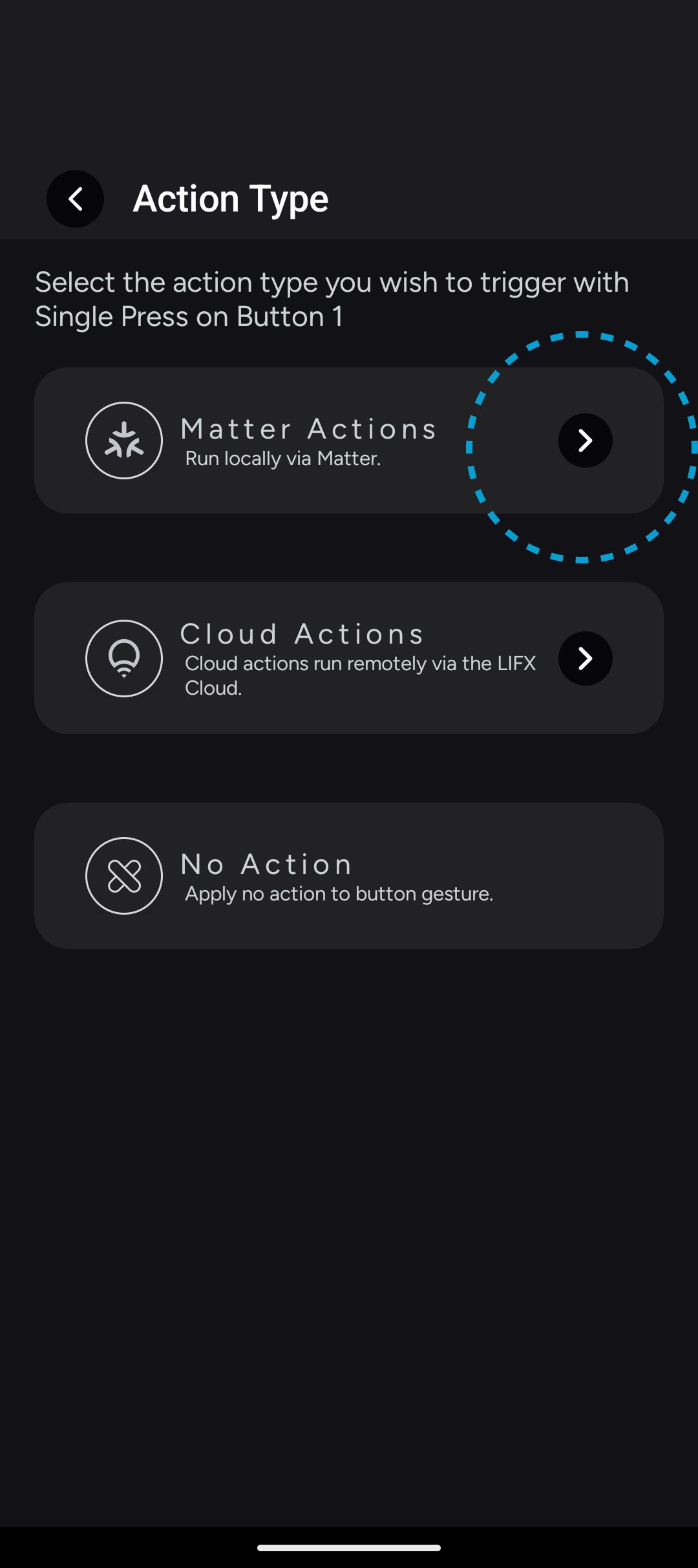Switch_Matter_Action_Type.png